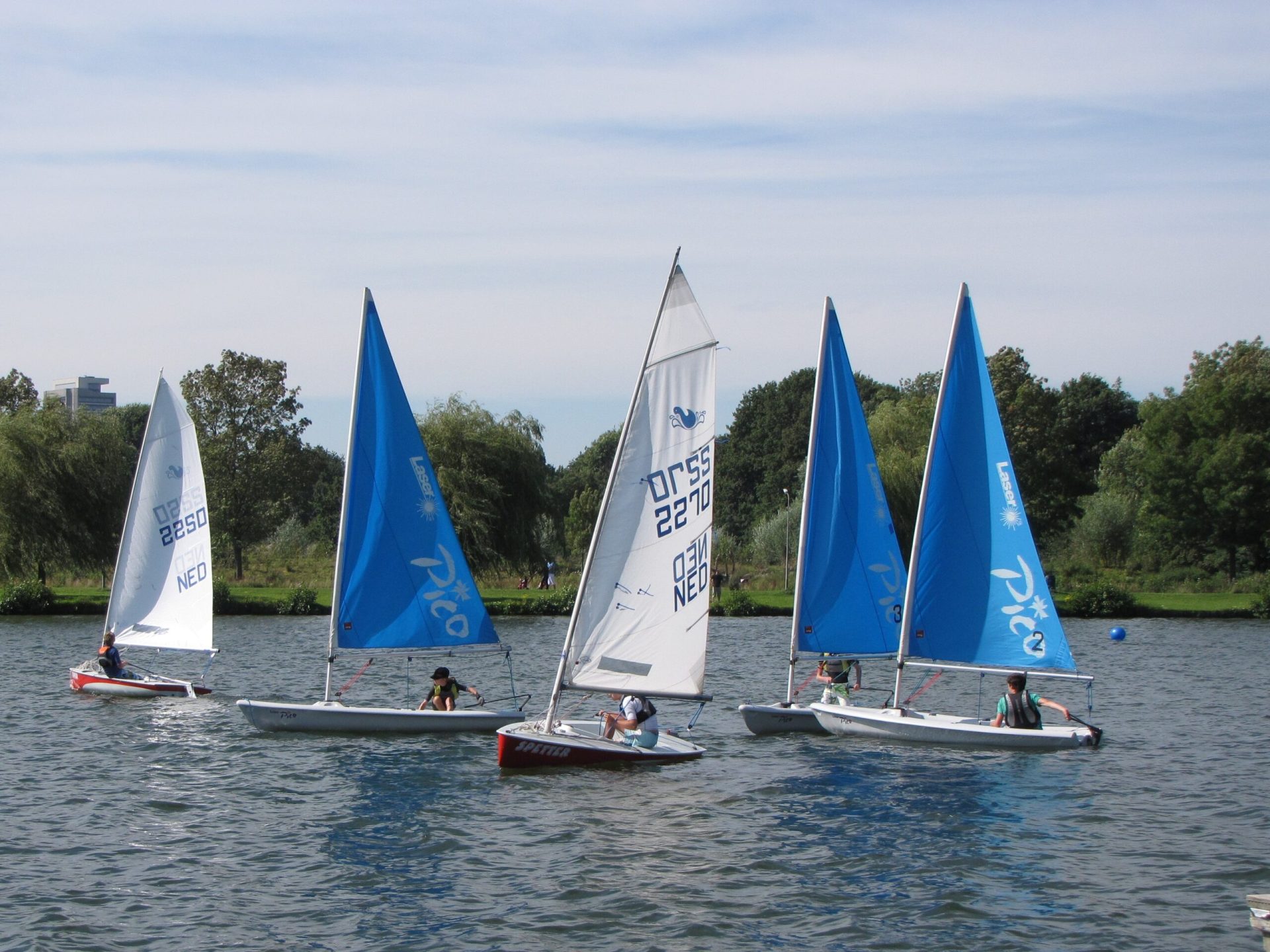 Meerdere zeilboten varen op de Oosterplas met blauwe en witte zeilen.