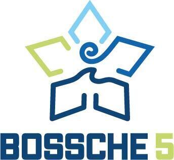 gestileerd logo met blauw-groene stervorm en tekst 'bossc​he 5'